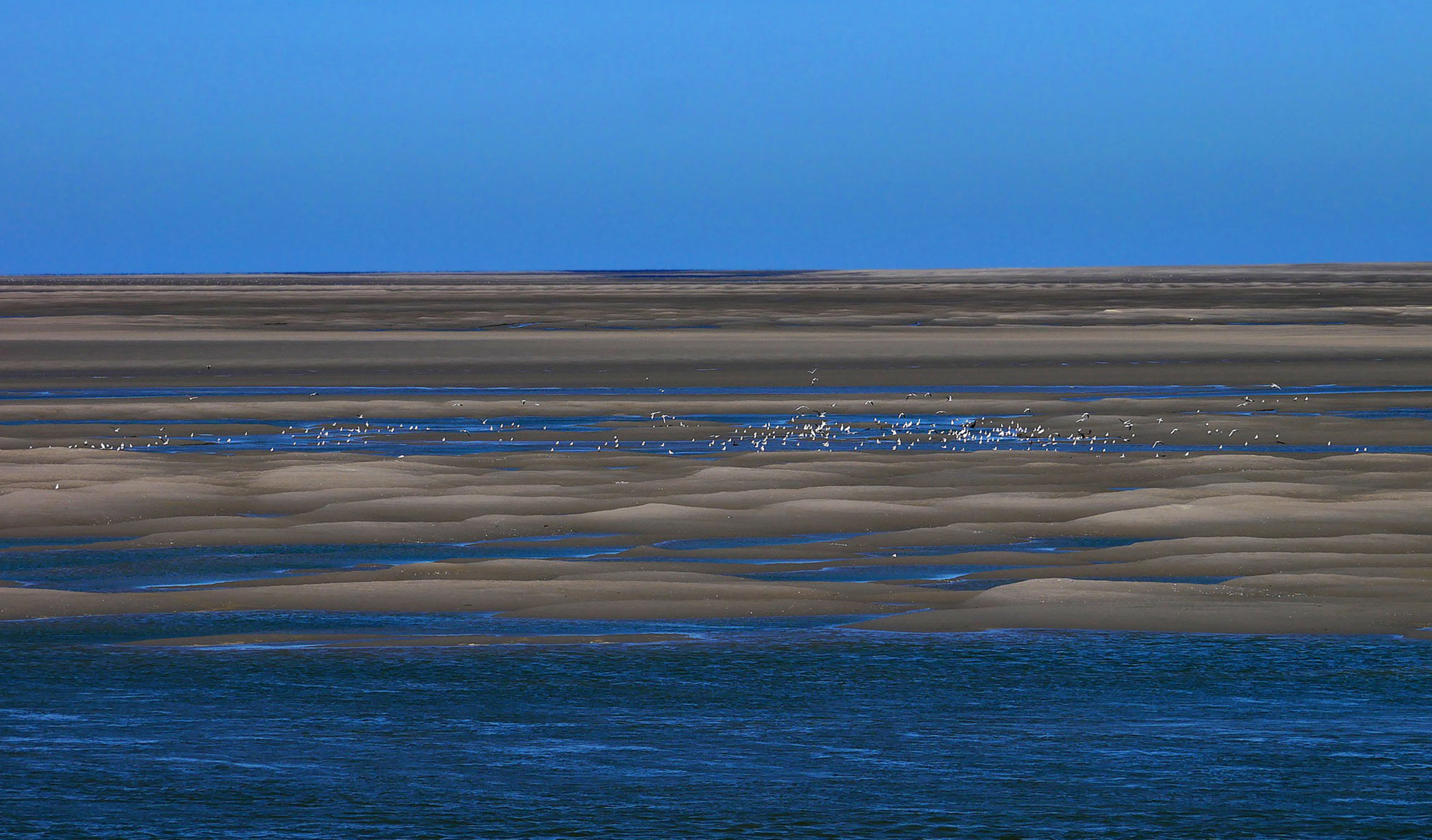 Parc National de la Baie de Somme