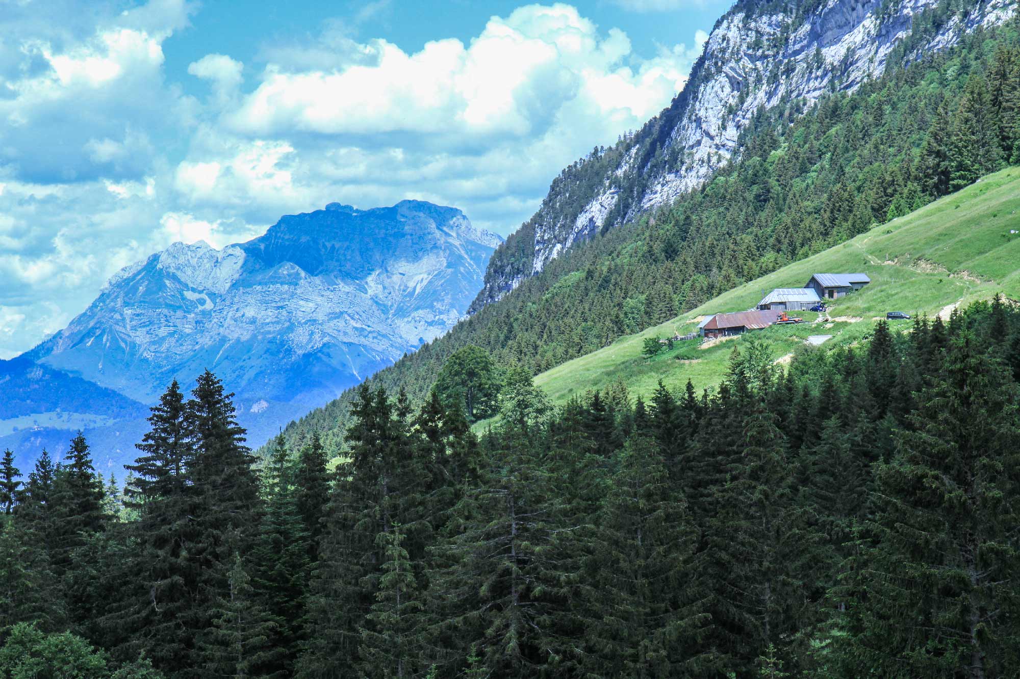 Randonnée dans les Bauges