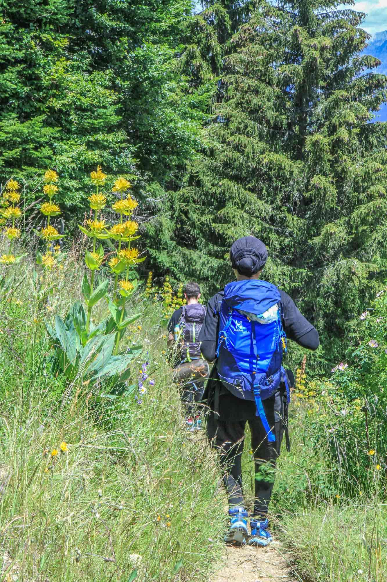 Randonnée dans les Bauges