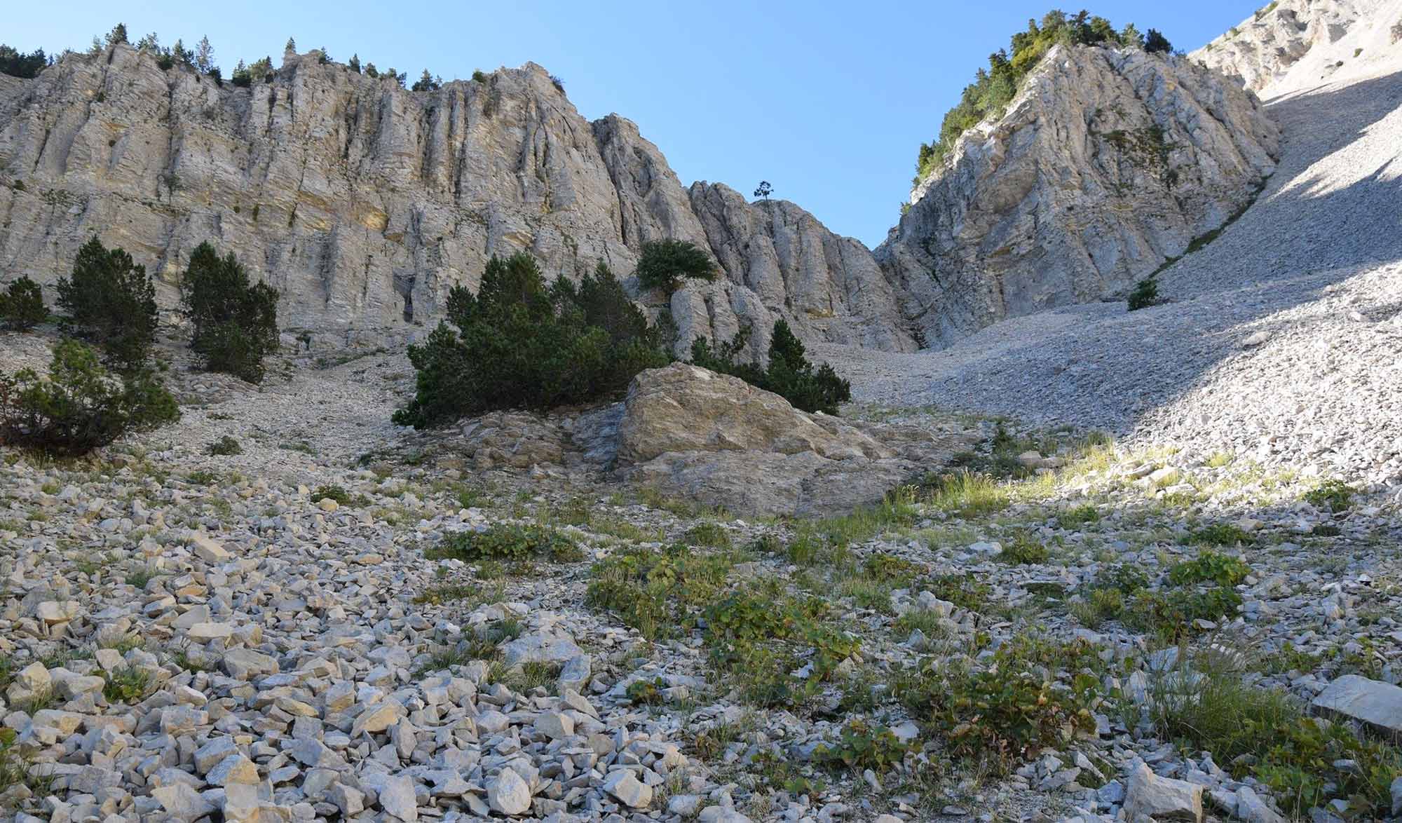 Parc National du Mont-Ventoux