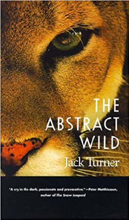 The absract wild