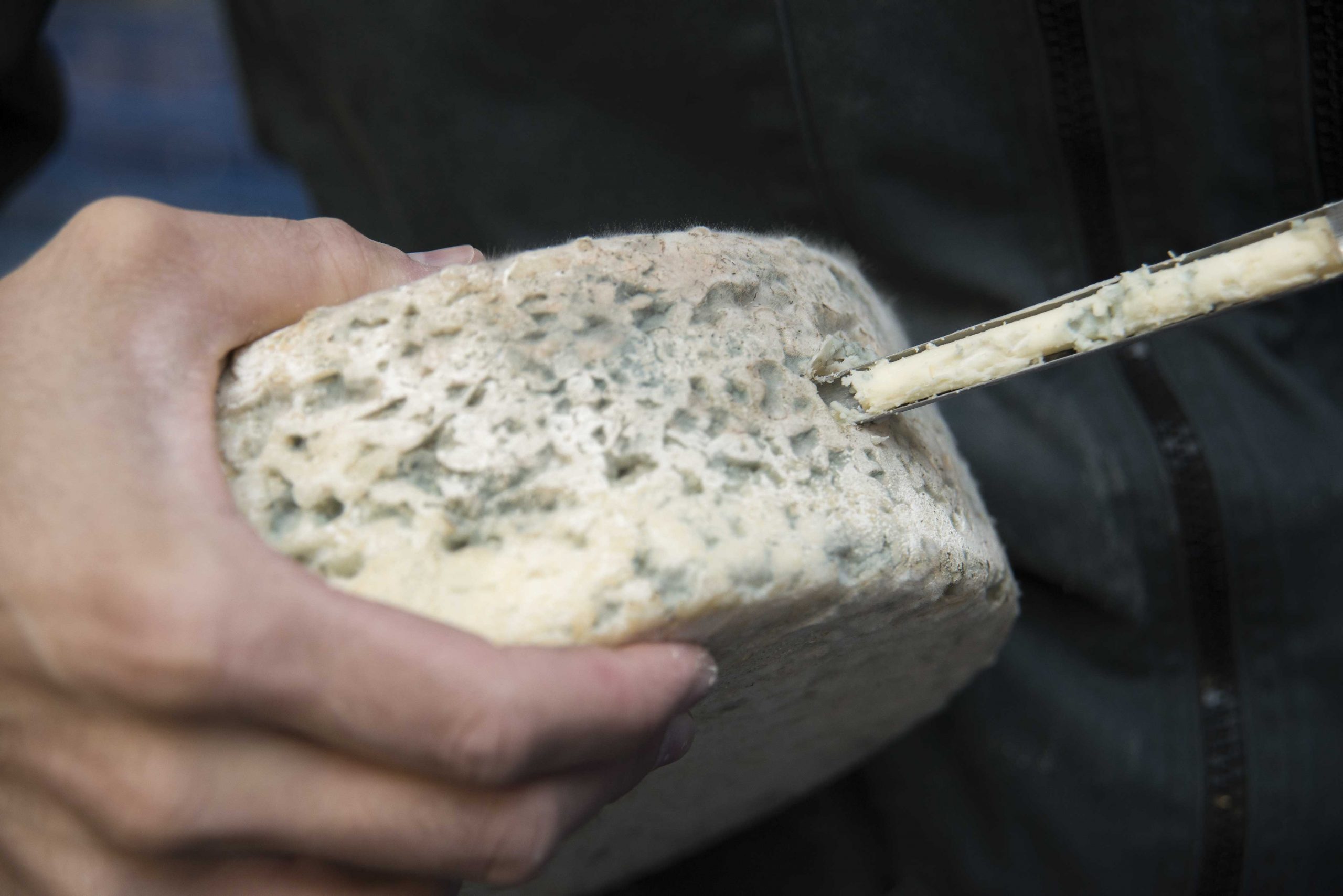 randos-fromage à parcourir en France