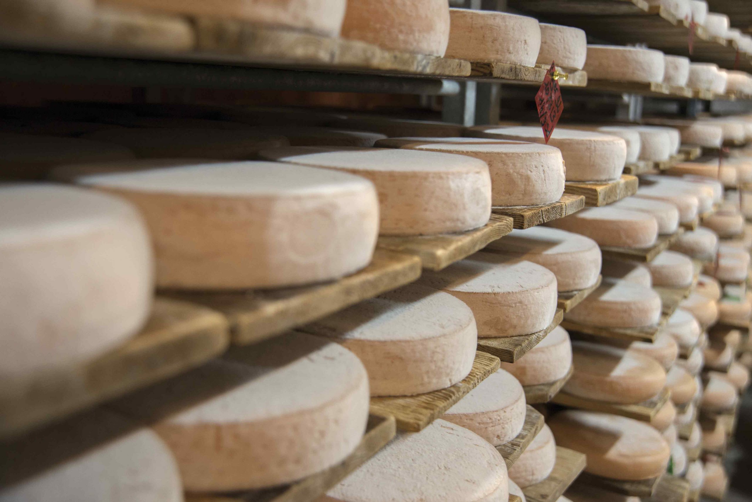 randos-fromage à parcourir en France