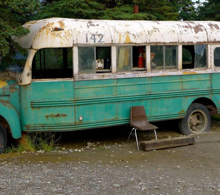 Magic Bus - Into the Wild