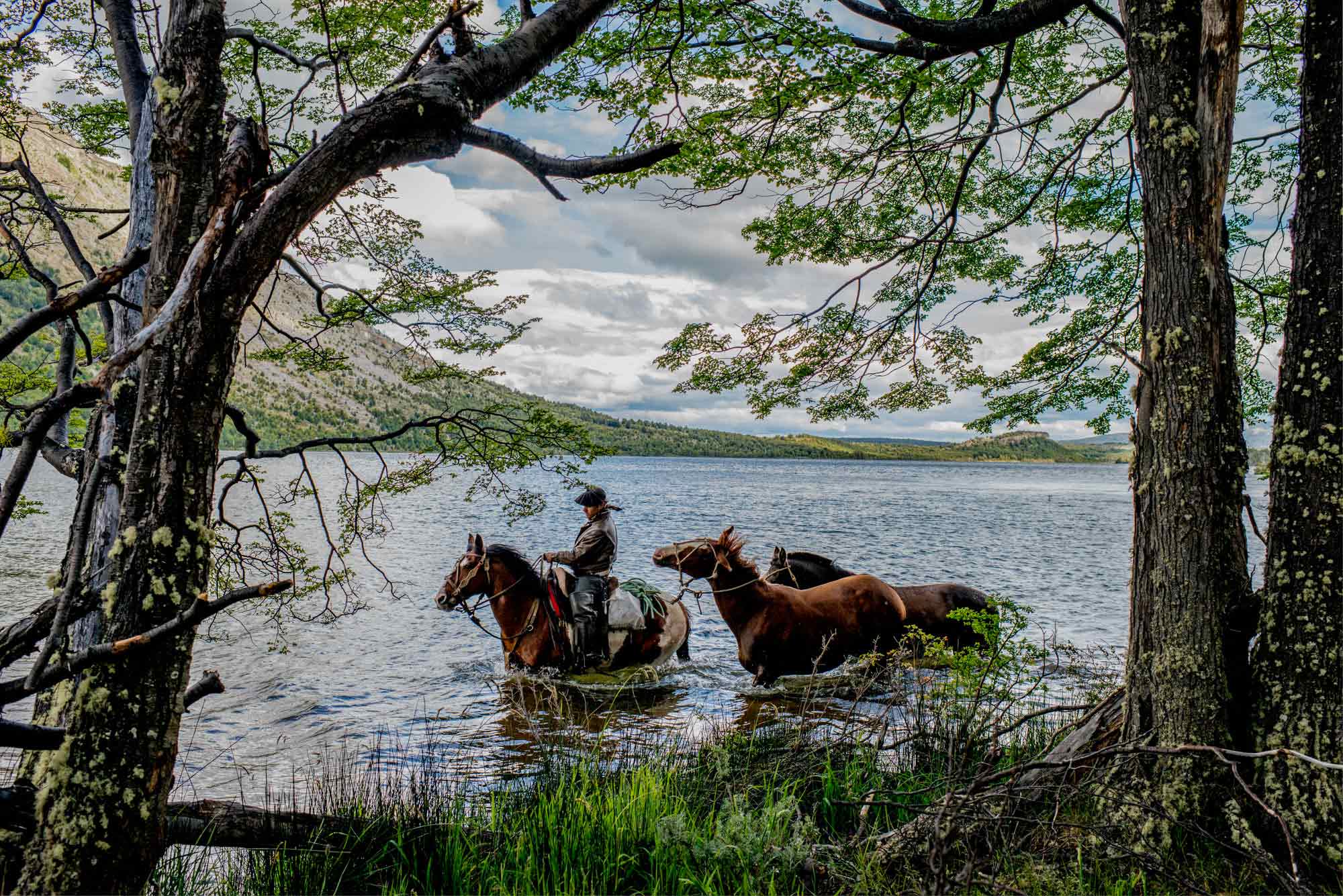 Gauchos, cowboys de Patagonie