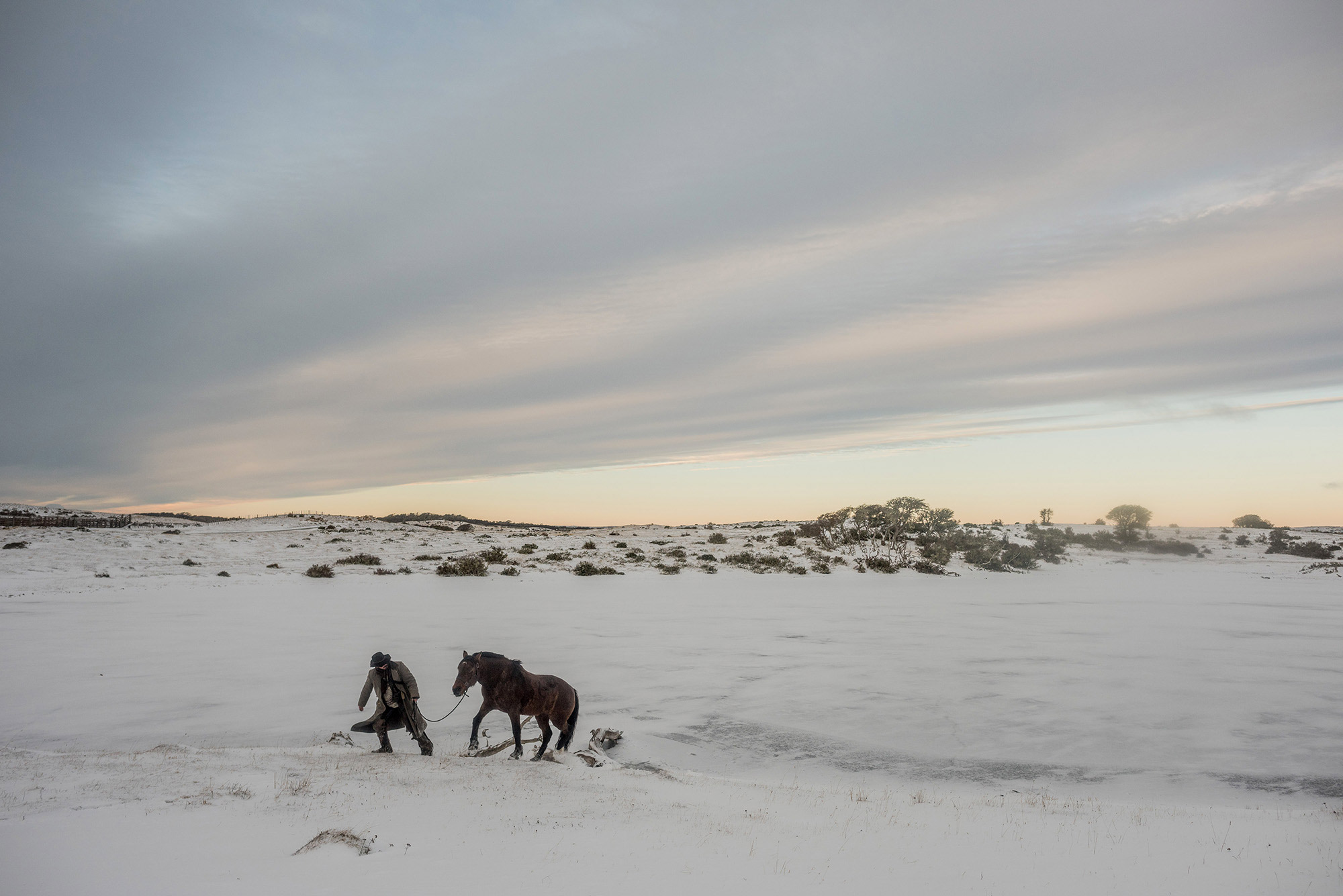 Gauchos, cowboys de Patagonie