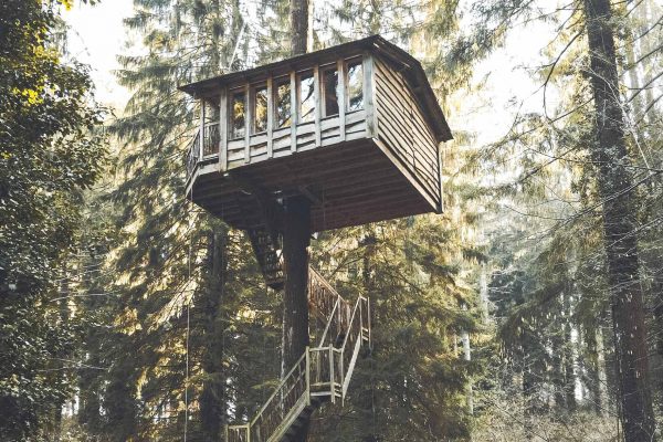 Cabane perchée dans un arbre