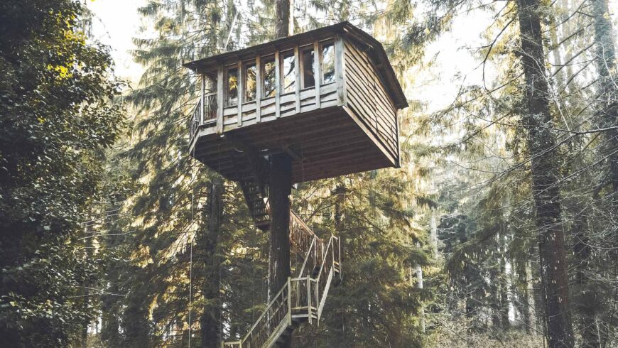 Cabane perchée dans un arbre