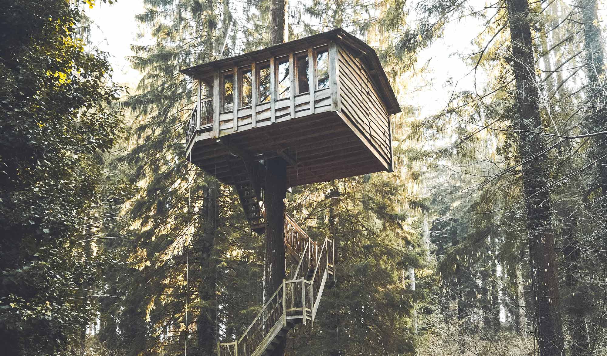 Cabane perchée dans un arbre