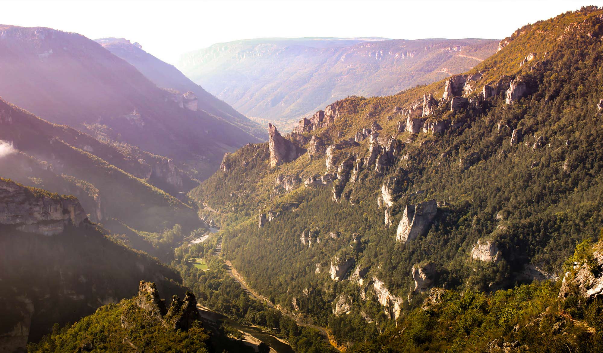 50 ans du parc national des Cévennes