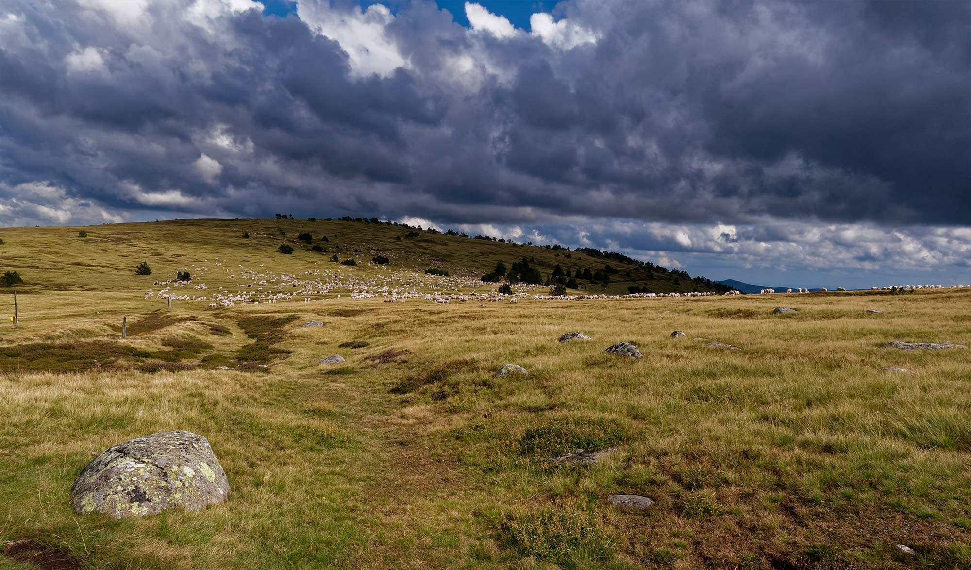 50 ans du parc national des Cévennes