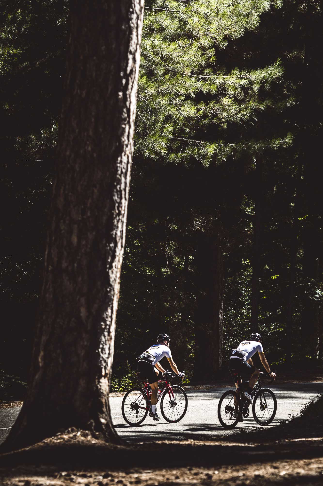 GT20 - traversée de la Corse à vélo