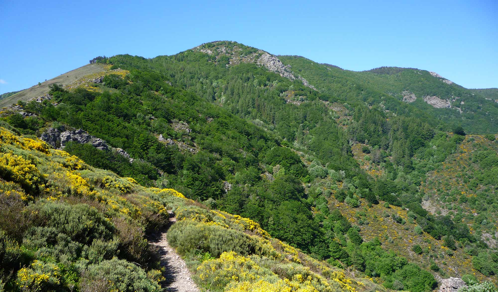 50 ans du parc national des Cévennes