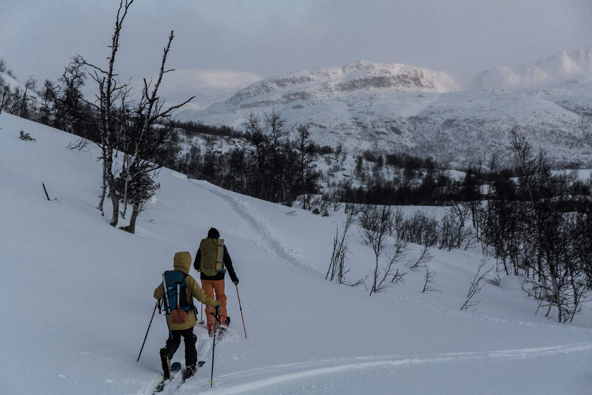 Bivouac Hivernal - Samaya