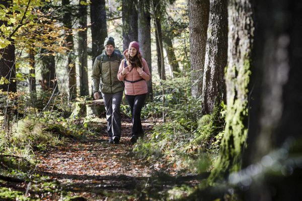 randonnée en forêt