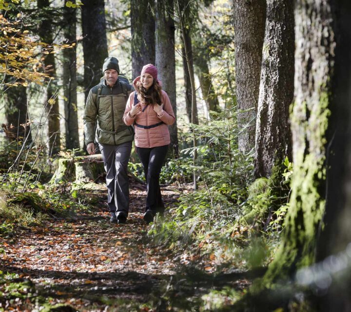 randonnée en forêt