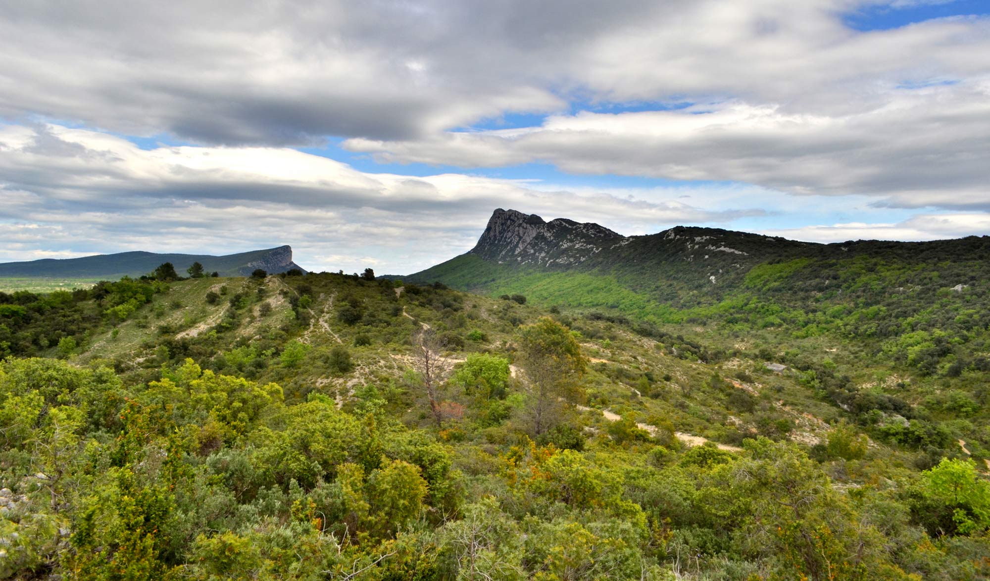 GR® de Pays Grand Pic Saint-Loup