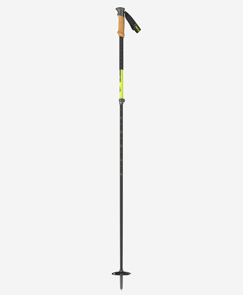 Scott Proguide c srs Poles