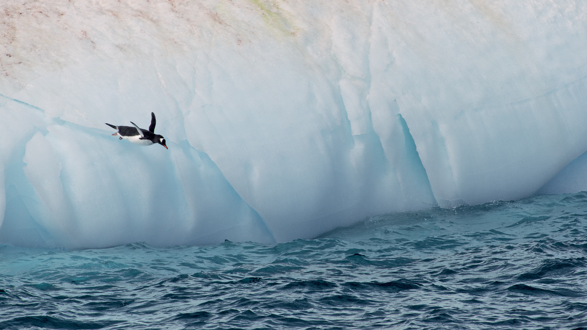 Antarctique, au coeur du continent blanc