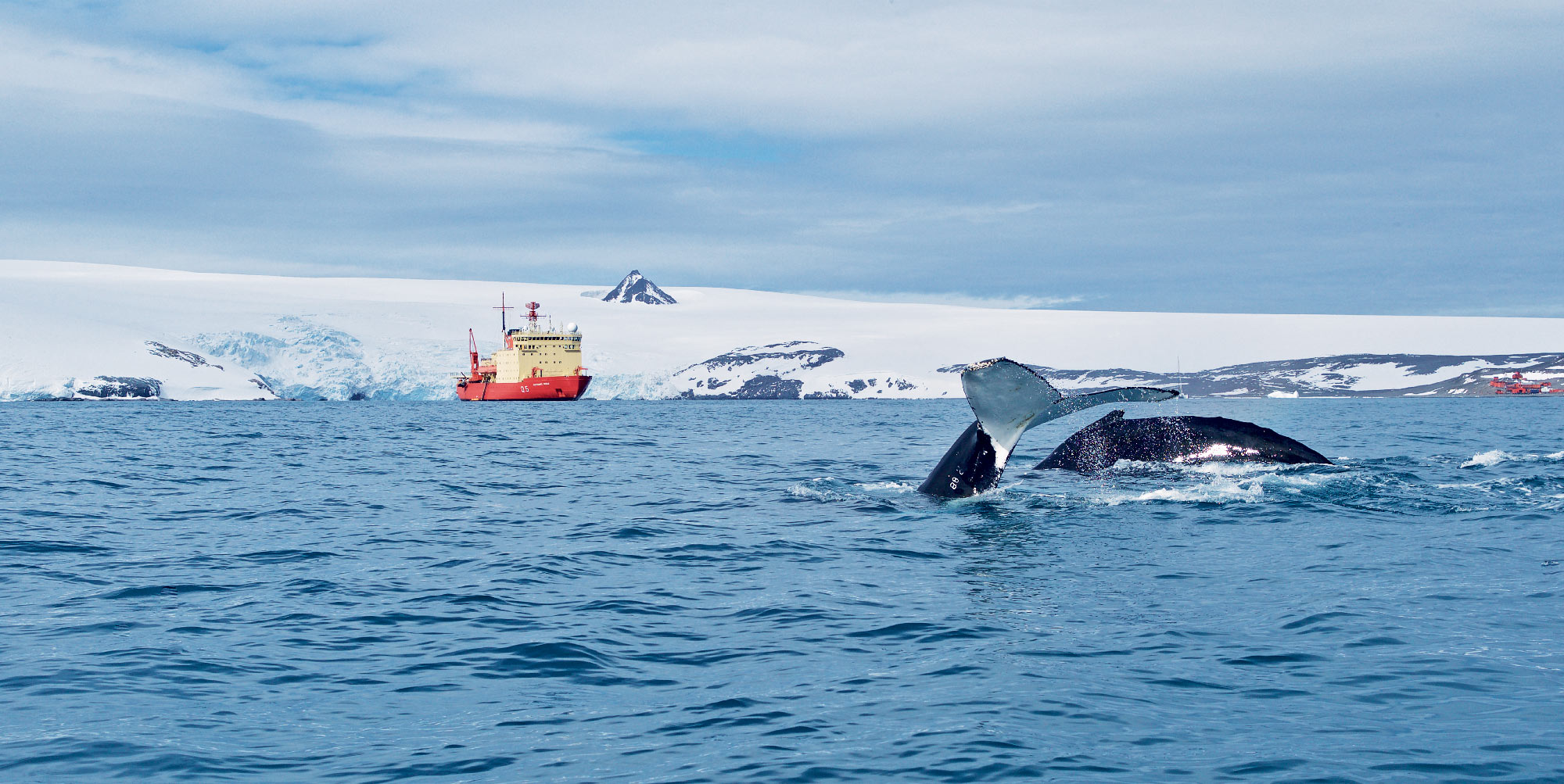 Antarctique, au coeur du continent blanc