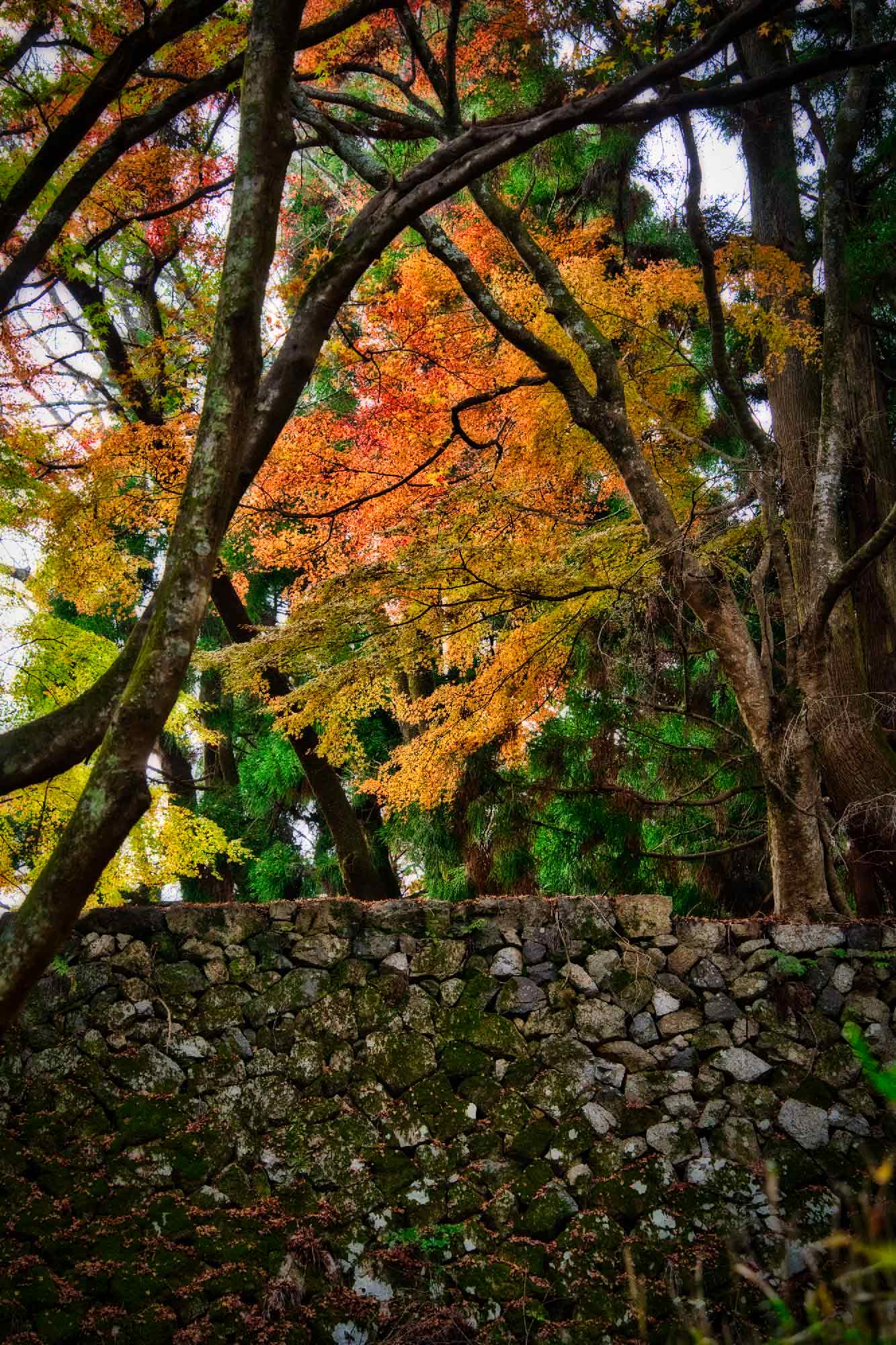 Mont Takatori (Préfecture de Nara)