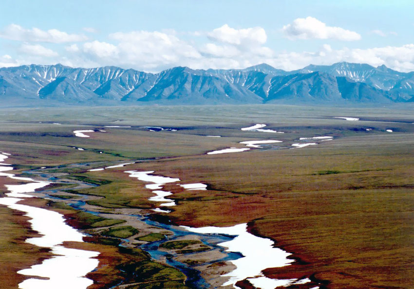 Bonne nouvelle : En Alaska la vente de concessions pétrolières de Trump est un échec
