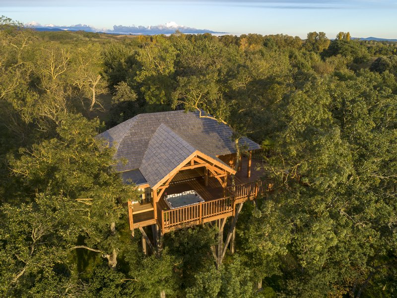 Cabane de Luxe avec sauna et jacuzzi : Cabane dans les arbres en Languedoc-Roussillon
