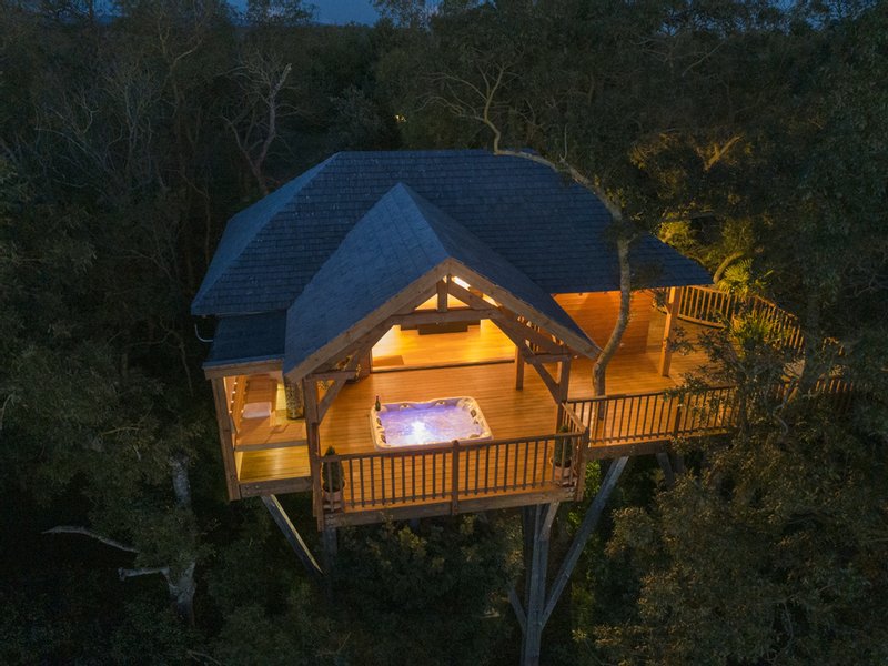 Cabane de Luxe avec sauna et jacuzzi : Cabane dans les arbres en Languedoc-Roussillon