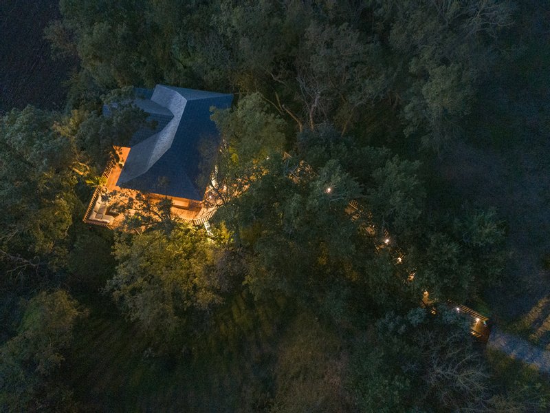 Cabane de Luxe avec sauna et jacuzzi : Cabane dans les arbres en Languedoc-Roussillon
