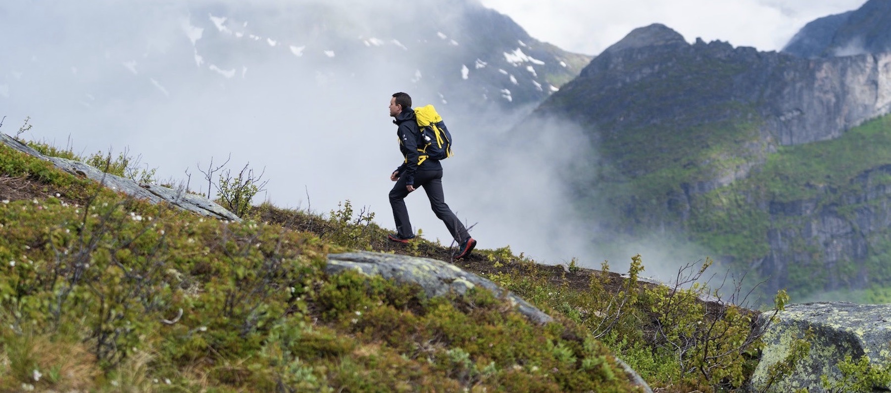 Environnement : Les 6 produits récompensés par ISPO