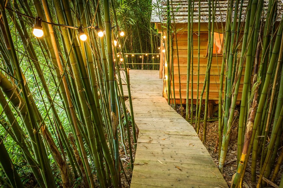 La Cabane des Bambous