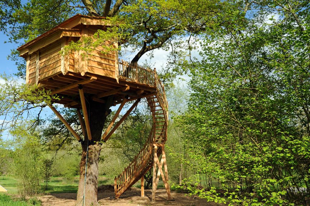 La cabane du vieux chêne