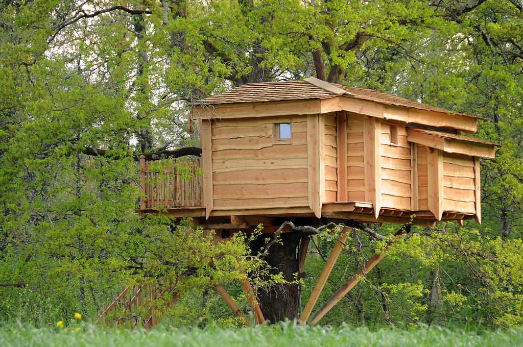 La cabane du vieux chêne