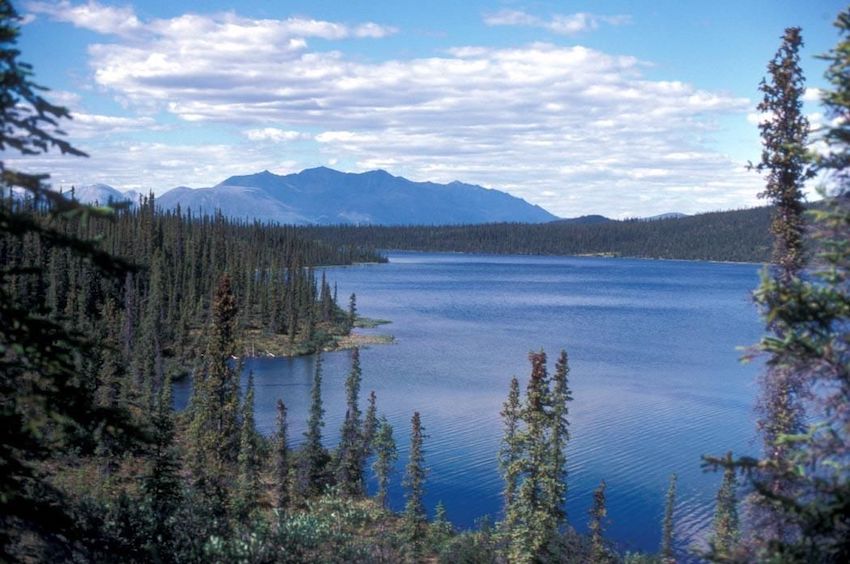 Bonne nouvelle : En Alaska la vente de concessions pétrolières de Trump est un échec