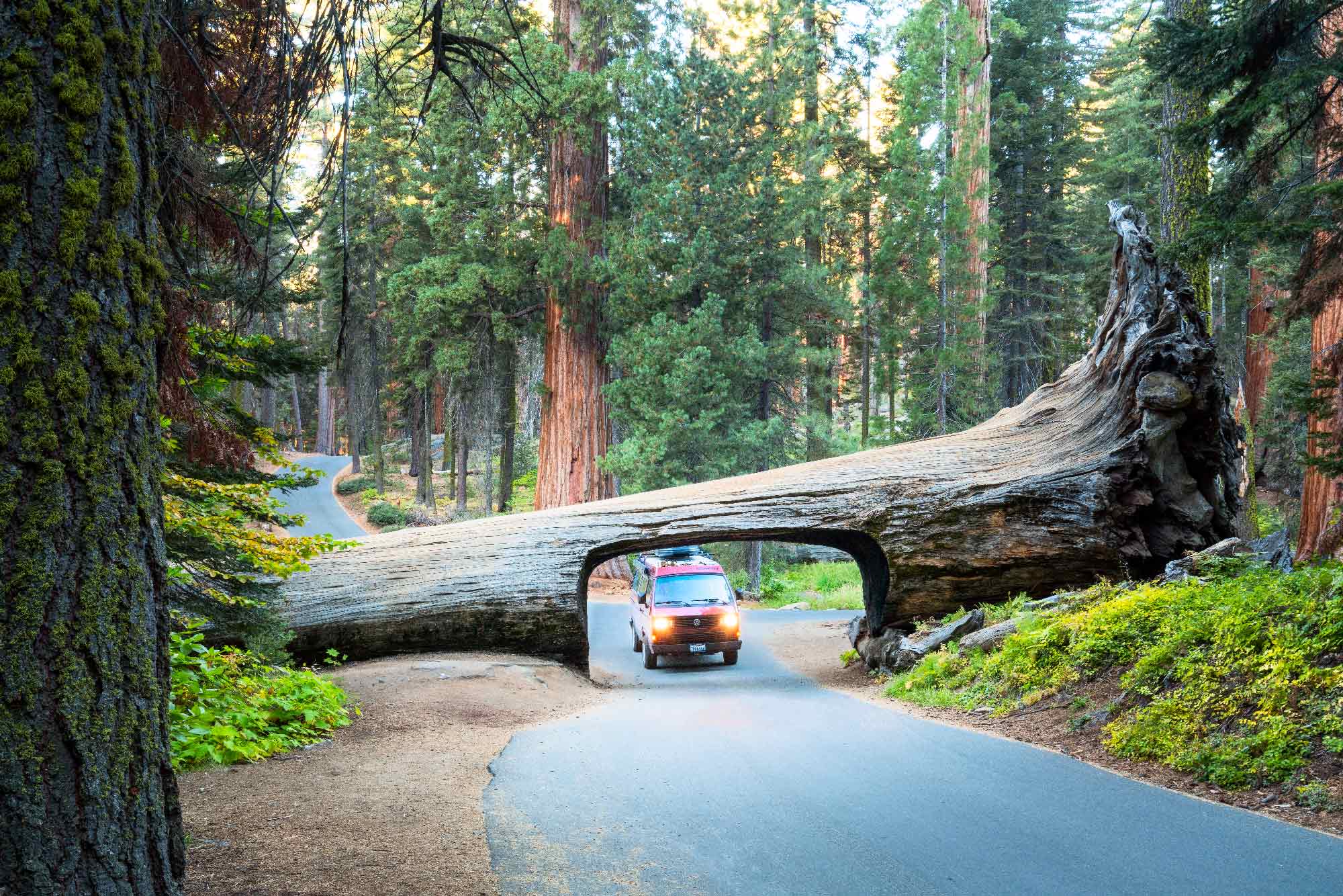 Road Trip dans les parcs Américains