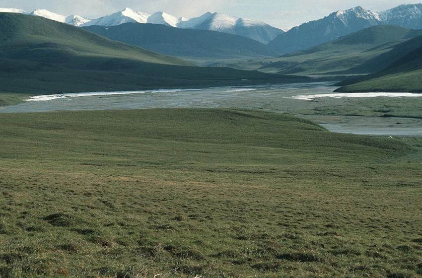 Bonne nouvelle : En Alaska la vente de concessions pétrolières de Trump est un échec