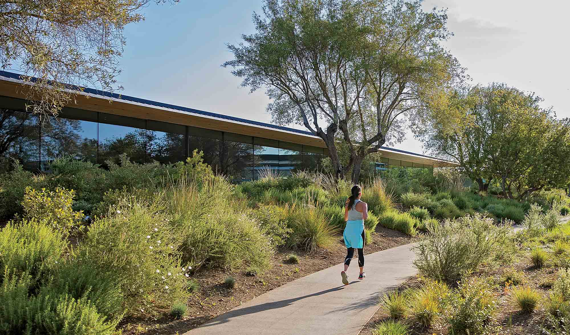 Session running d'une employée dans l'Apple Park