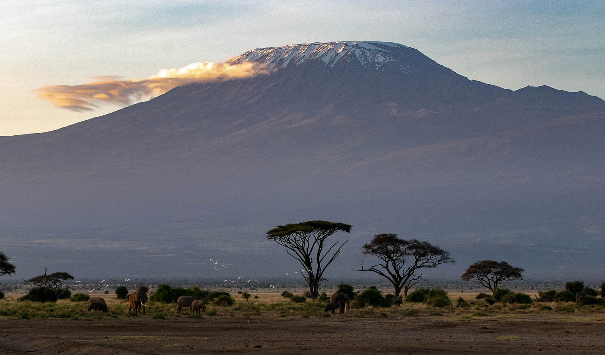 Kilimanjaro
