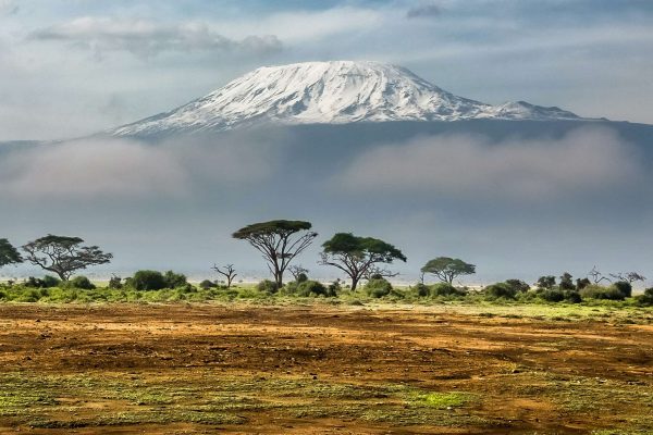 Kilimanjaro