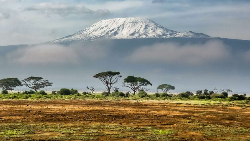 Kilimanjaro