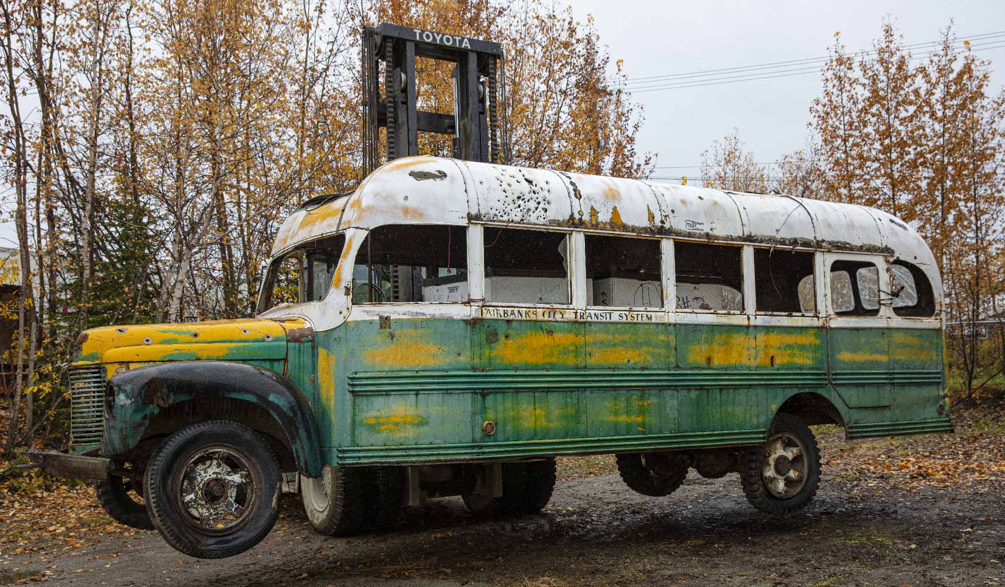 Magic Bus: Into the wild