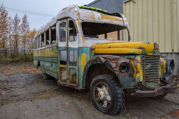 Magic Bus: Into the wild