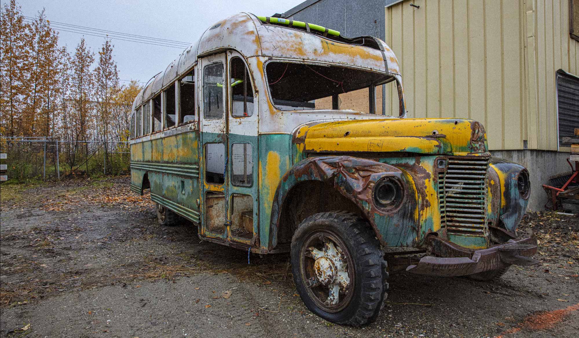 Magic Bus: Into the wild