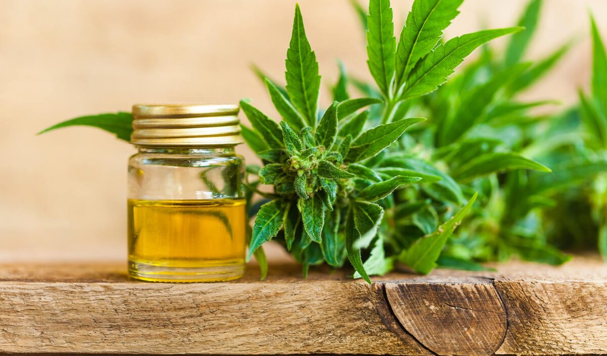 Huile CBD
