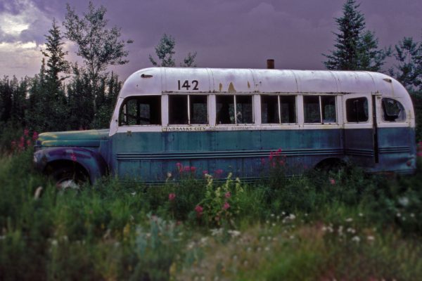 Magic Bus: Into the wild