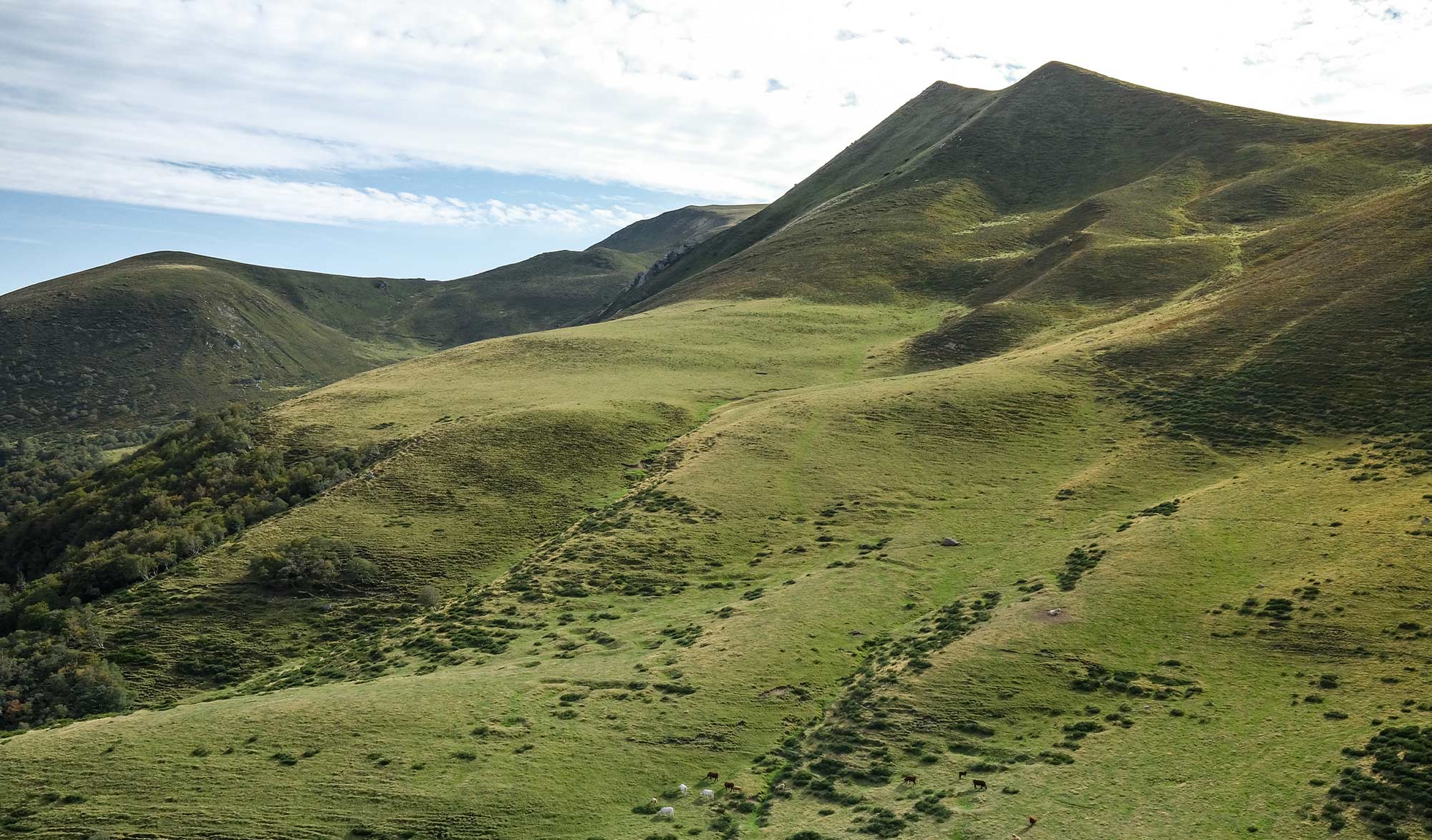Rando vélo & fromage Cantal