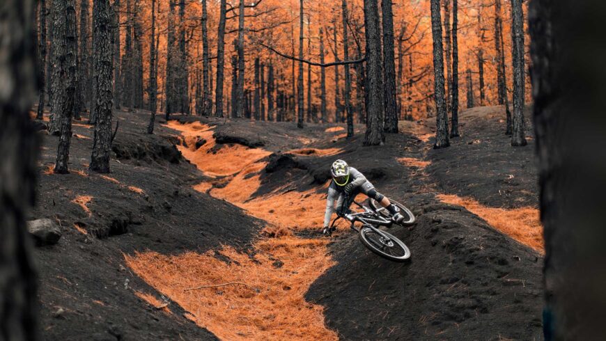 Vtt en forêt