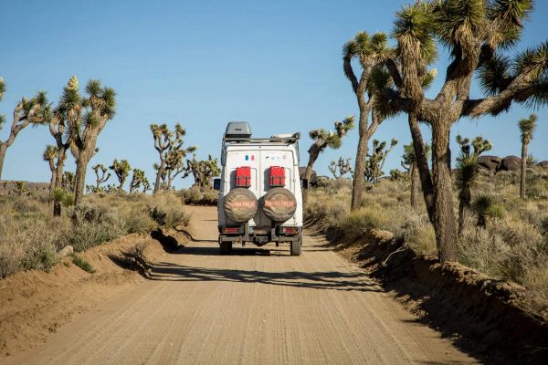 WILD, le docu sur l'Amérique sauvage