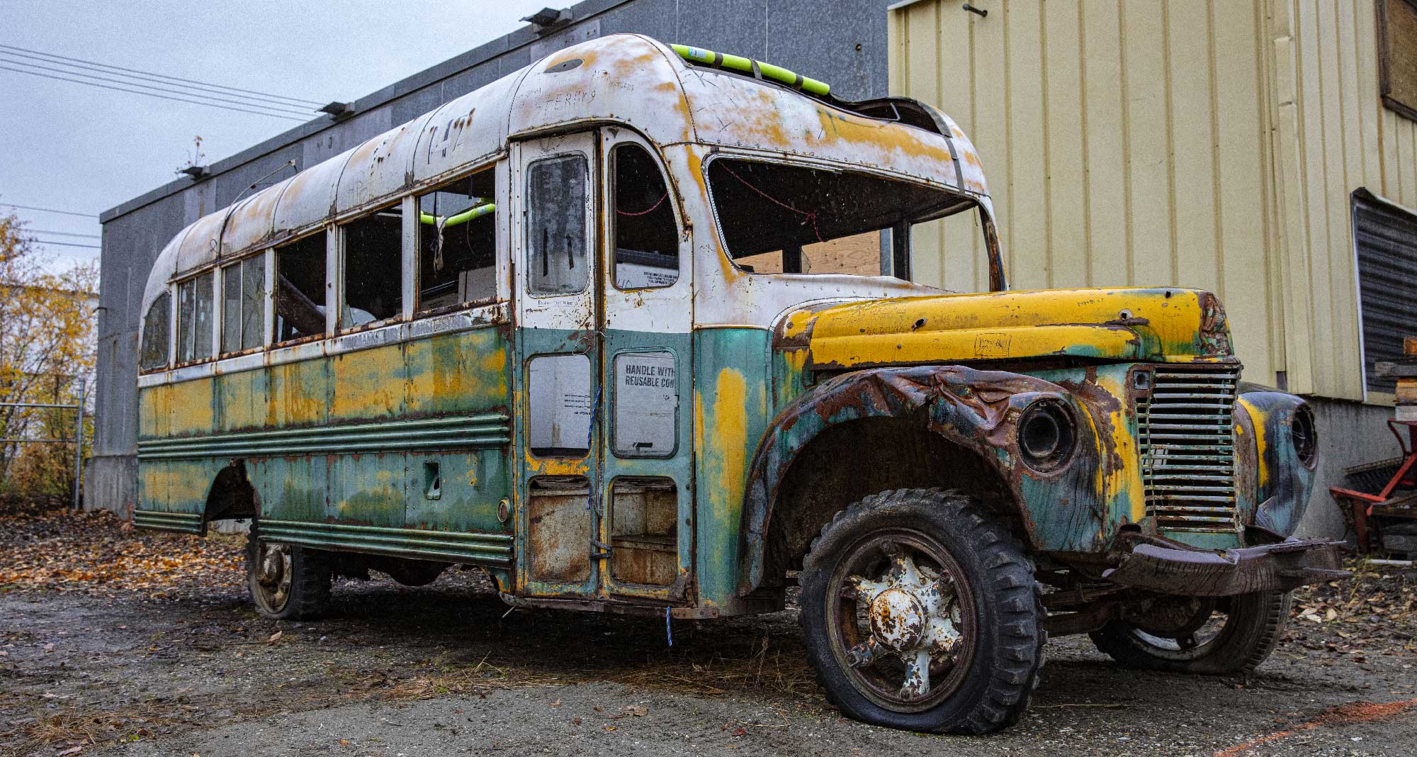 Magic Bus: Into the wild