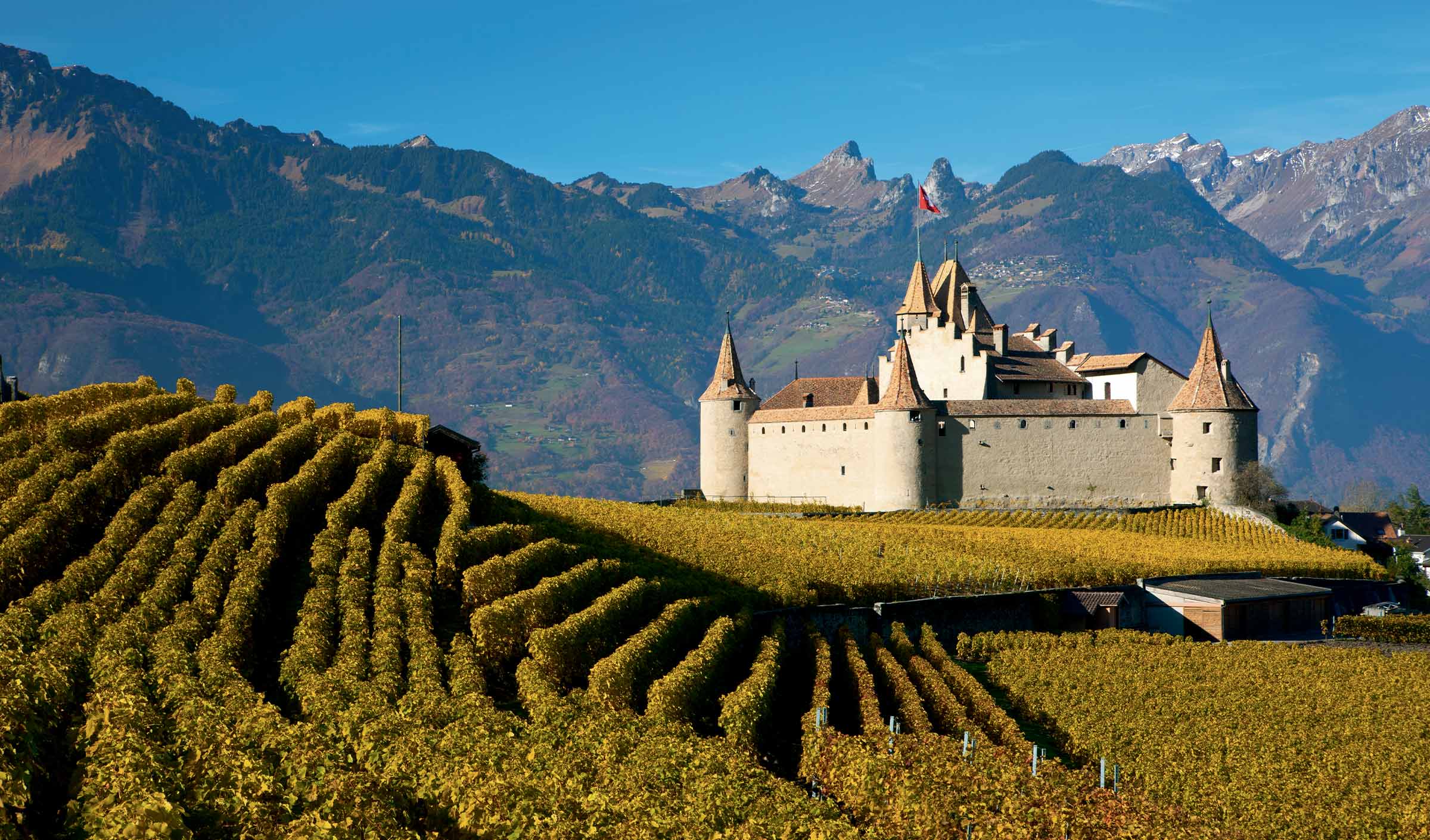 Cyclotourisme dans la région de Aigle, canton de Vaud en Suisse